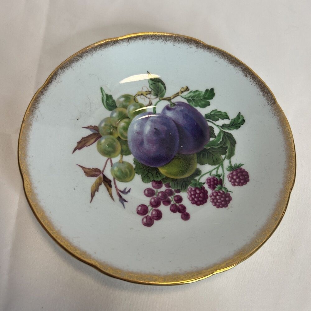 ROYAL GRAFTON Plums and Green Grapes Fine Bone China Saucer